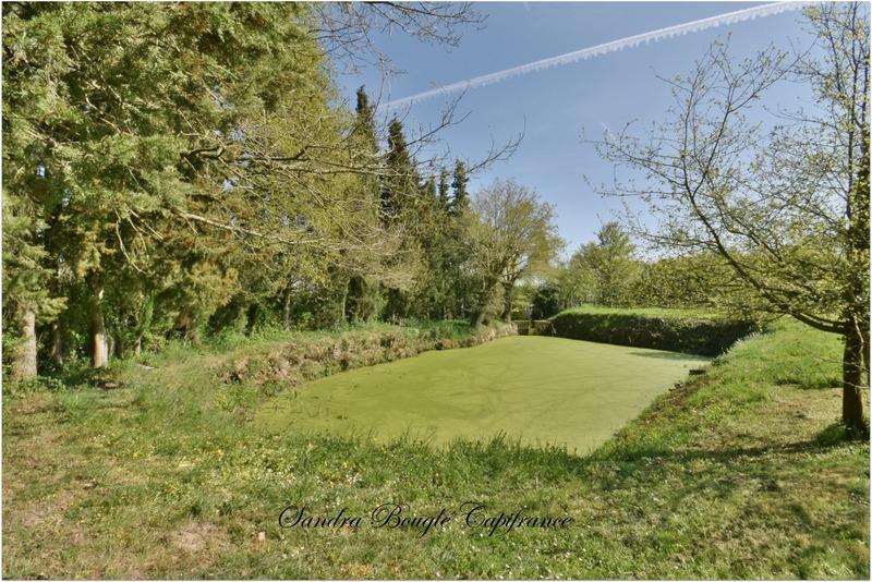 Maison en pierre - 176 m² - 7 pièces