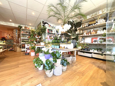 Magasins - 71 m² - 2 pièces