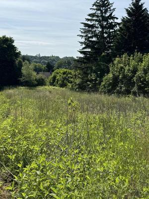 Terrain constructible - 1 117 m²