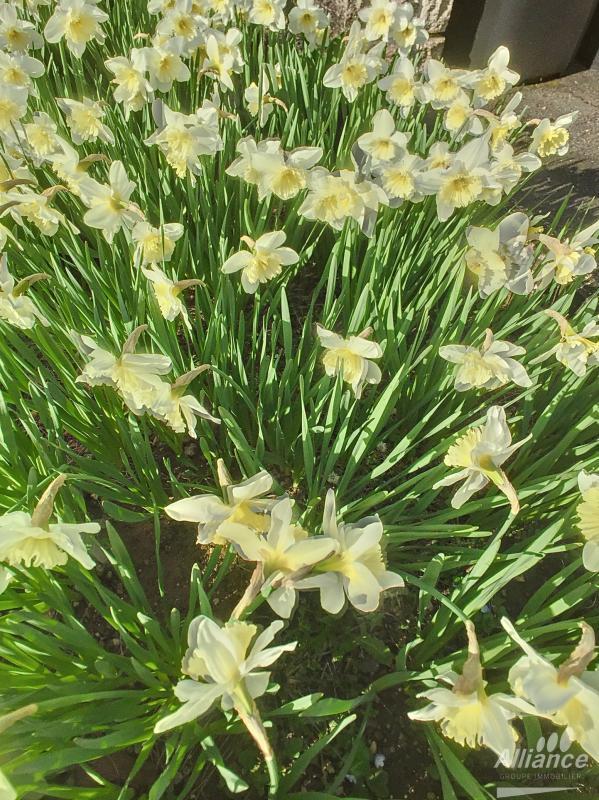 Propriété - 205 m² - 10 pièces