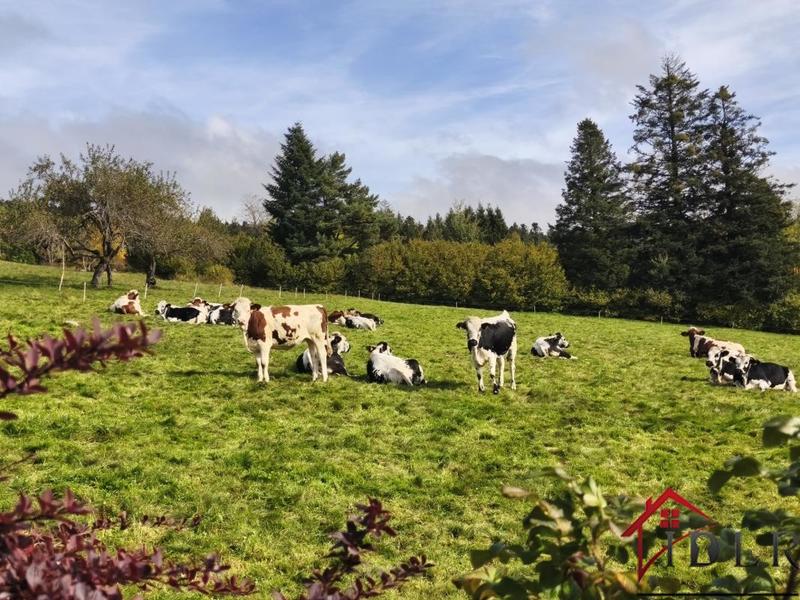 Maison - 110 m² - 6 pièces