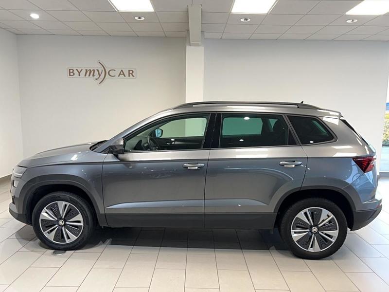 Skoda Karoq 2.0 Tdi 116 ch Scr Dsg7 Business