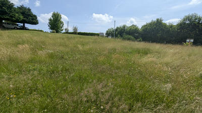 Terrain - 1 850 m²