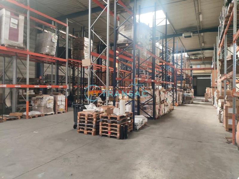 Local d'activité / Entrepôt - 3 699 m²