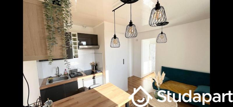 Appartement - 25 m² - 2 pièces