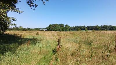 Maison de domaine équestre - 220 m² - 7 pièces