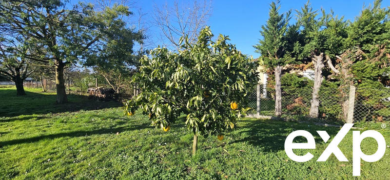 Maison - 140 m² - 4 pièces