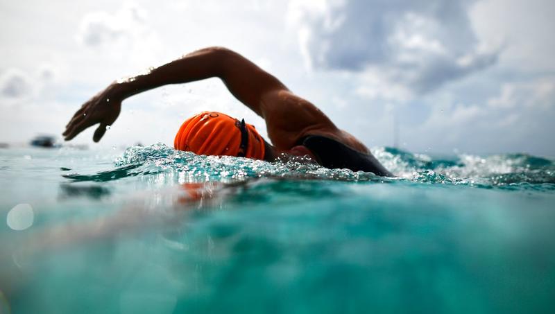 La Traversée des Canards et des Dauphins