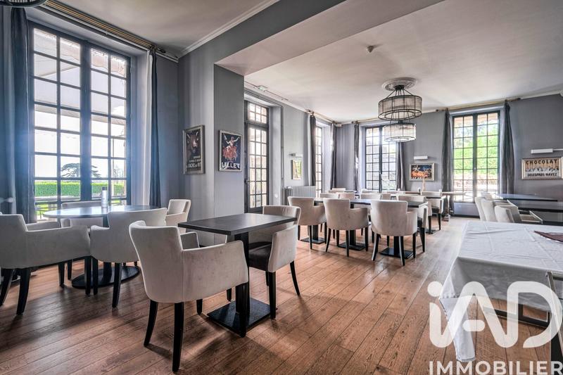 Château - 1 230 m² - 23 pièces