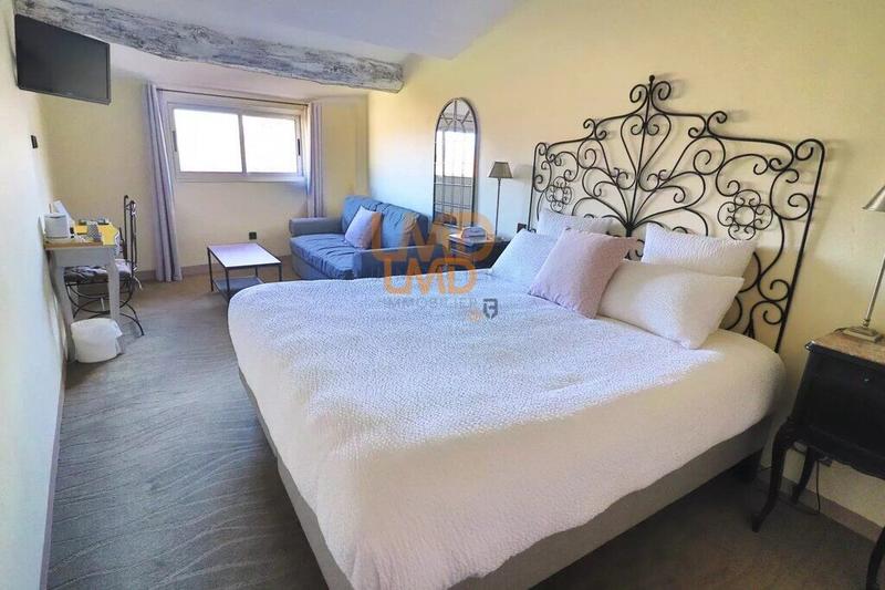 Hôtel particulier - 665 m²