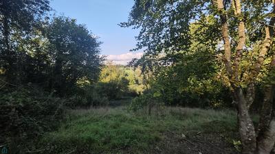 Maison normande - 65 m² - 4 pièces