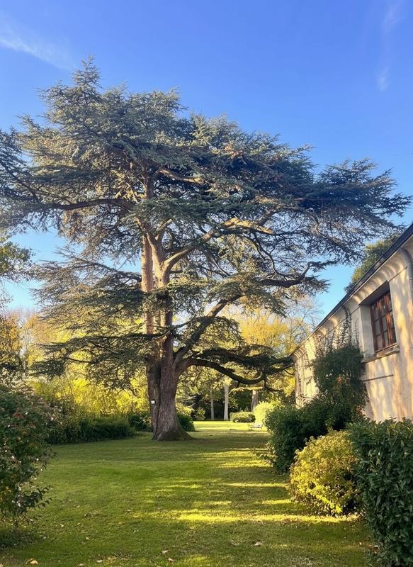 Maison - 260 m² - 11 pièces