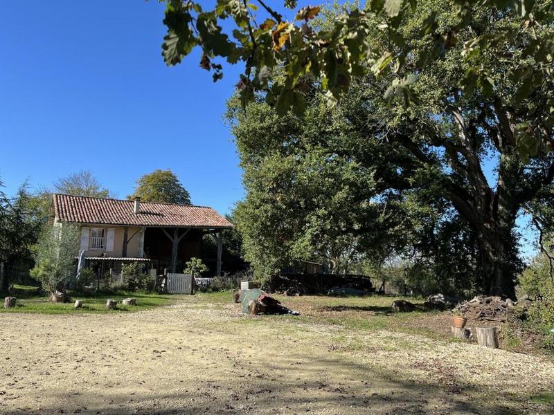 Maison en pierre - 355 m² - 11 pièces