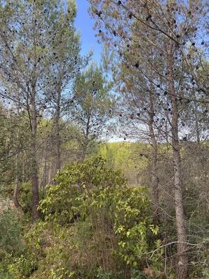 Terrain de loisirs - 2 006 m²