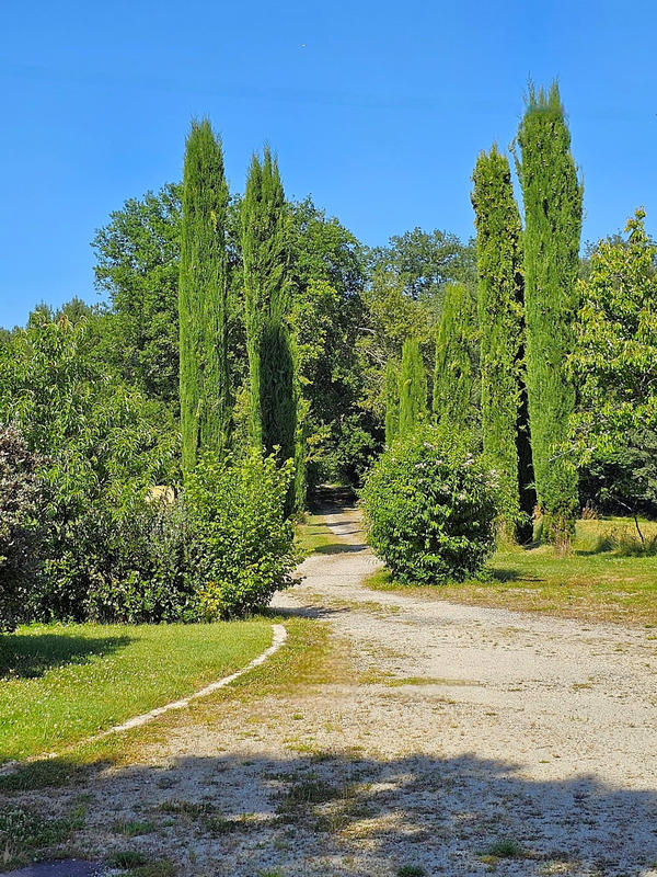 Maison - 220 m² - 7 pièces