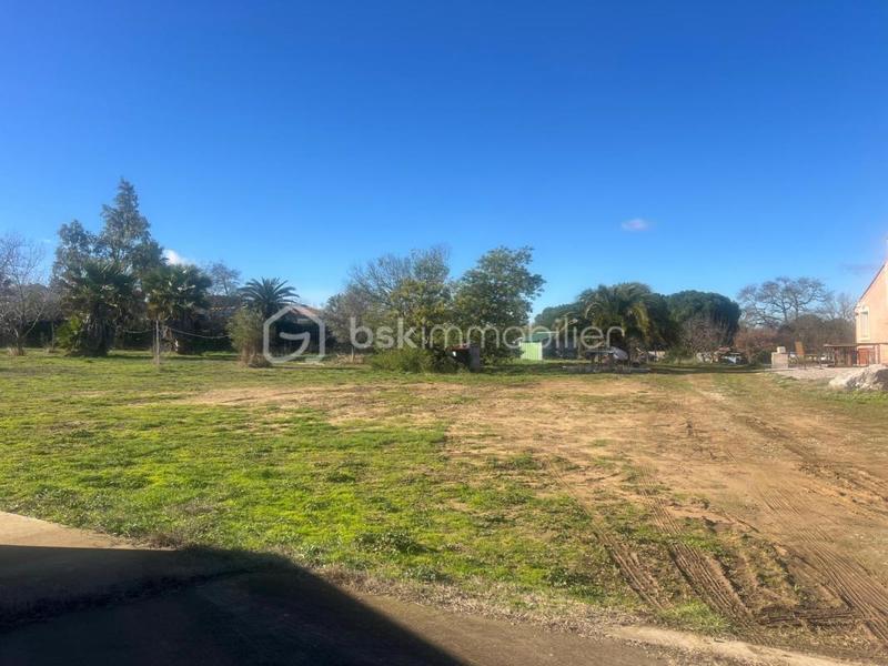 Maison ancienne - 190 m² - 5 pièces