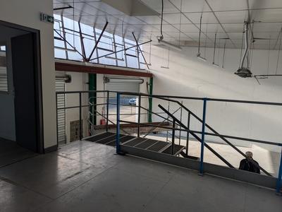 Bureau - 280 m² - 7 pièces