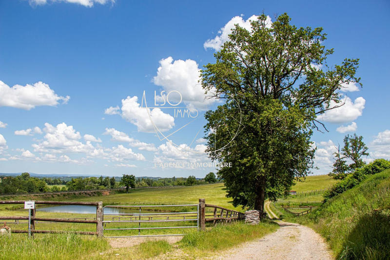 Ferme - 226 m² - 5 pièces