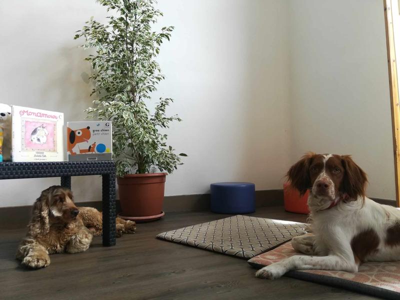 Lire avec les chiens