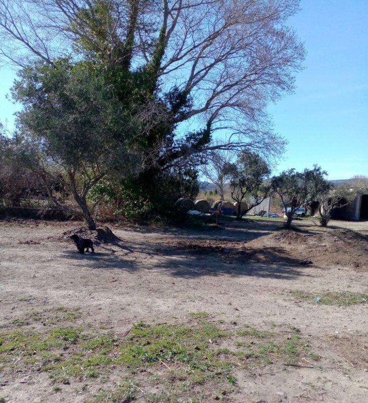 Terrain de loisirs - 8 000 m²