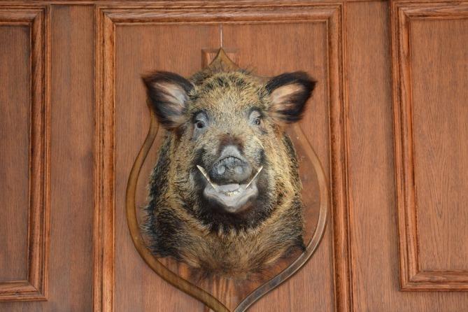 Manoir - 580 m² - 15 pièces