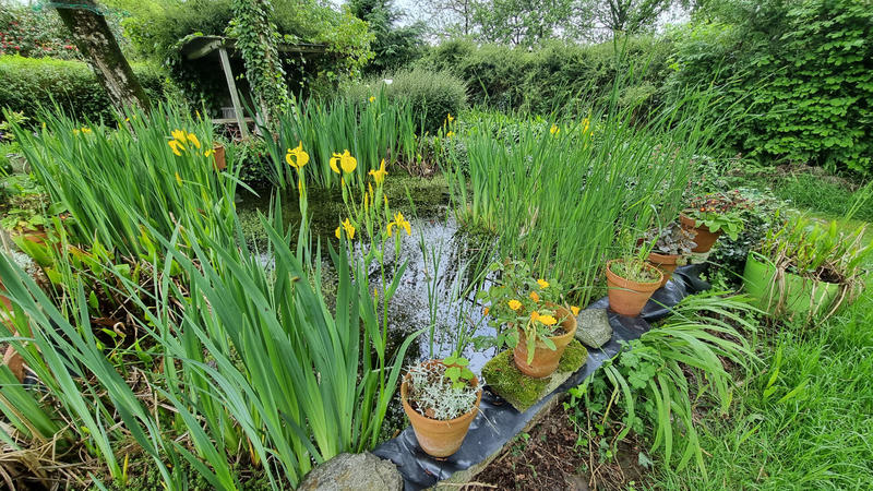 Maison - 64 m² - 5 pièces