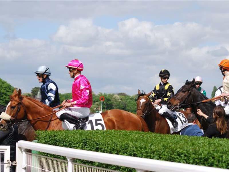Courses hippiques du Haras national du Pin