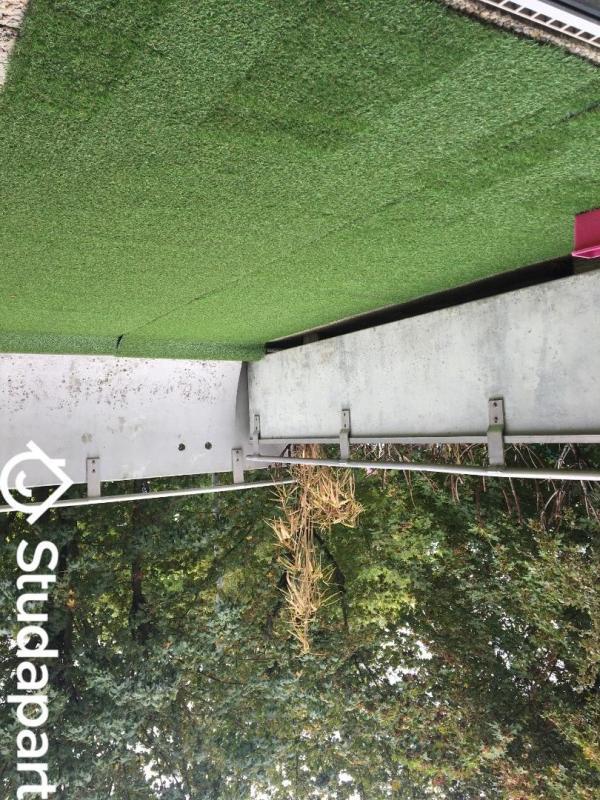 Chambre - 11 m² - 1 pièce