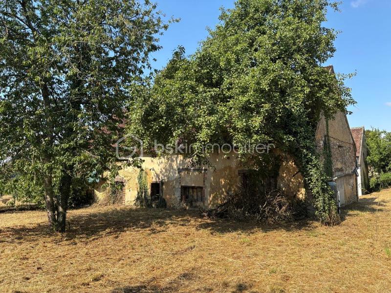 Maison ancienne - 220 m² - 6 pièces