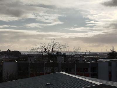 Appartement - 34 m² - 1 pièce