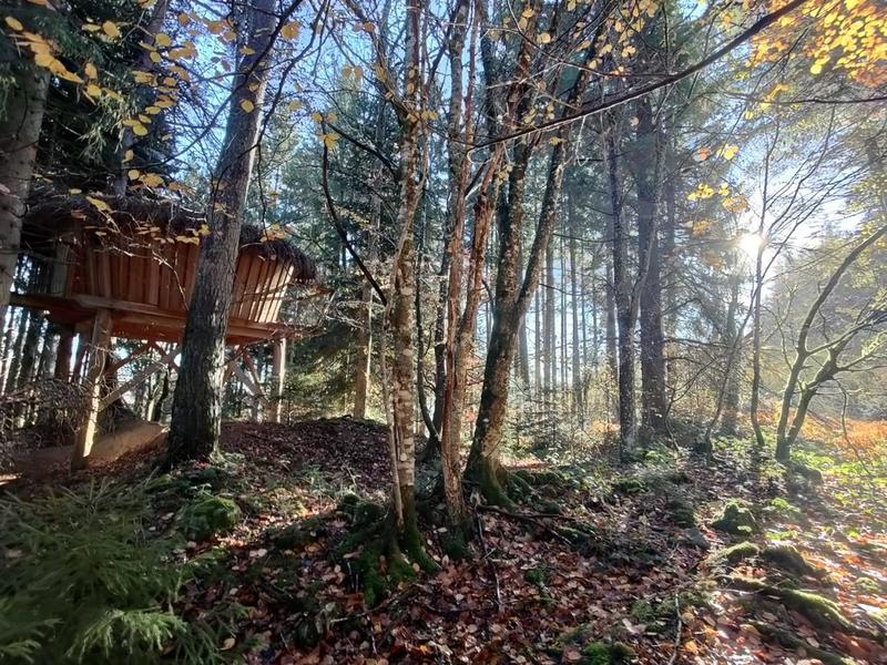 Maison - 400 m² - 8 pièces