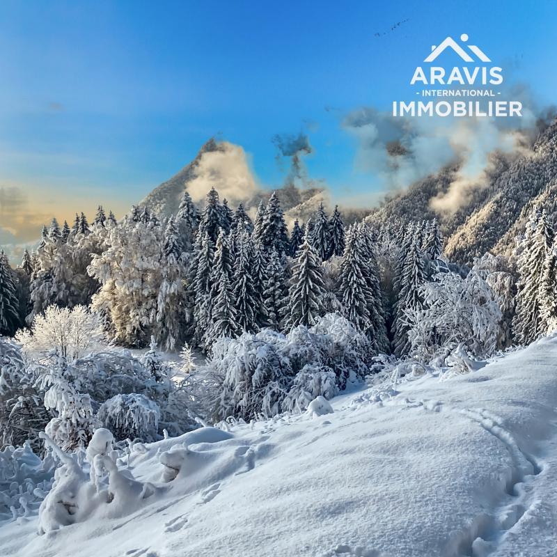 Châlet - 50 m² - 4 pièces