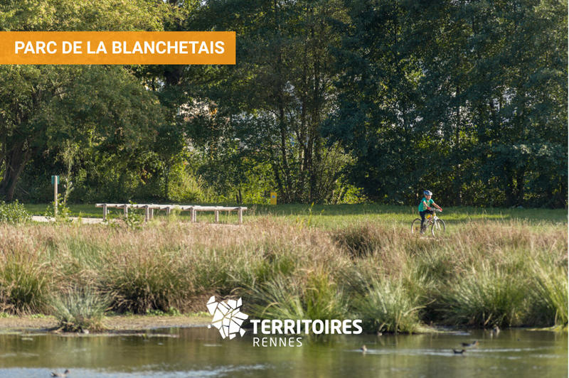 Terrain constructible - 290 m²