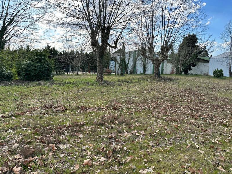 Local commercial - 3 000 m² - 4 pièces