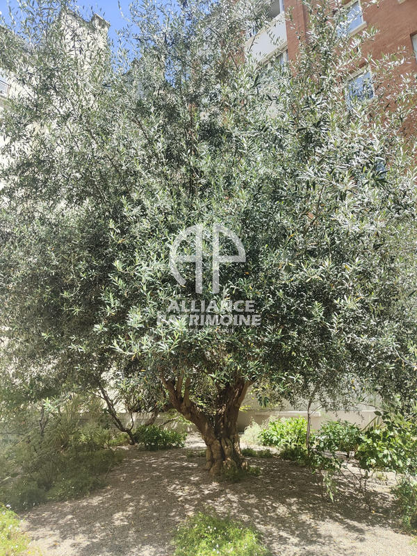 Appartement - 176 m² - 5 pièces