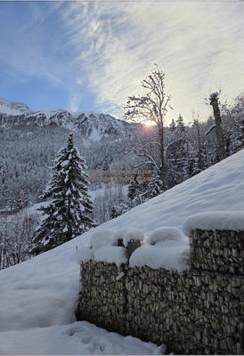 Appartement - 45 m² - 3 pièces