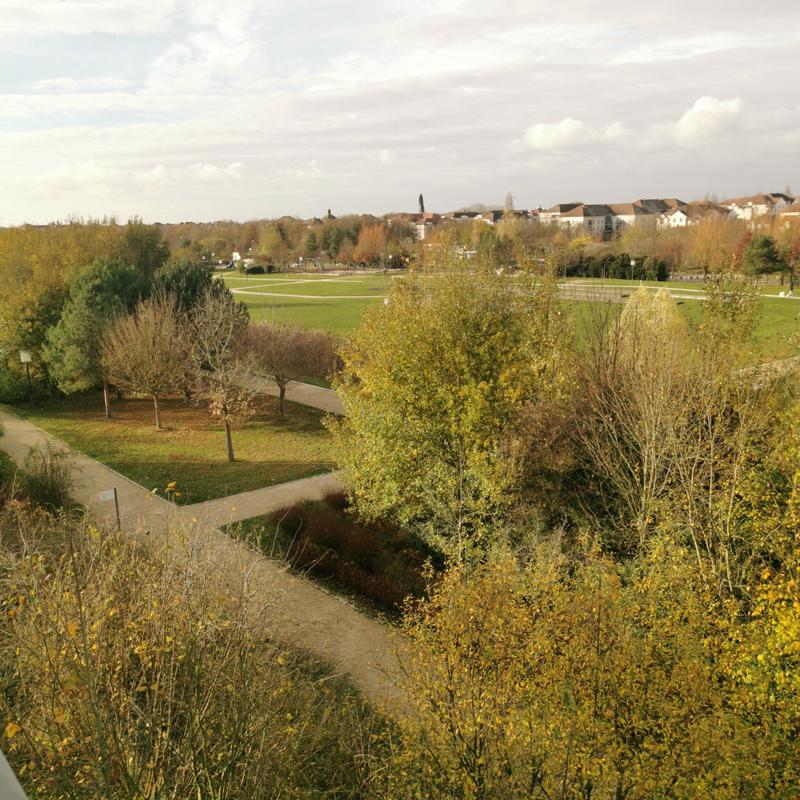 Appartement - 31 m² - 1 pièce