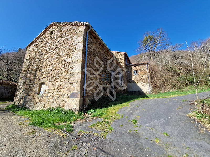 Propriété - 300 m² - 10 pièces