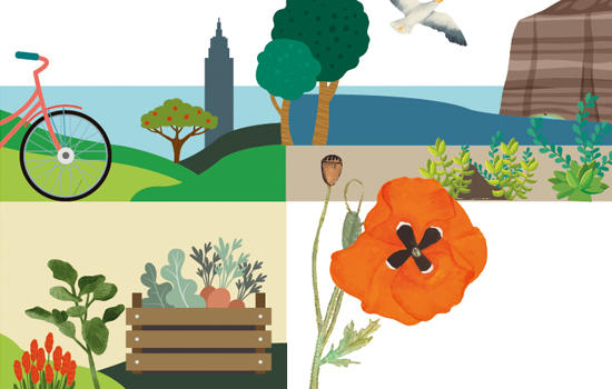 Sortie botanique au parc forestier de Montgeon