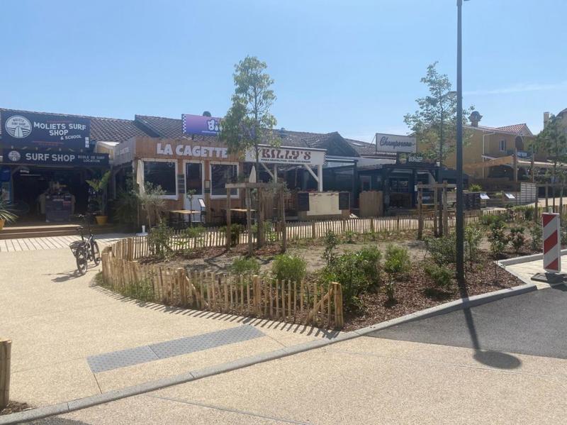 Bureau - 35 m² - 1 pièce