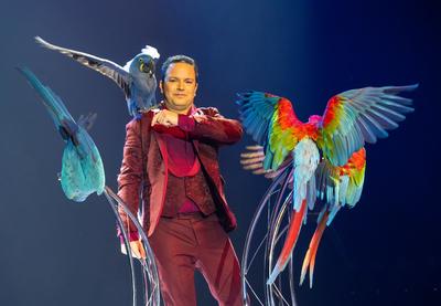 Spectacle de Noël 2025 - l'Asn fête ses 40 ans