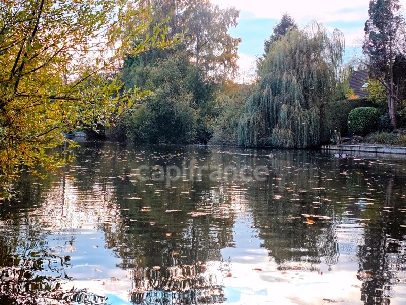 Pavillon - 99 m² - 5 pièces