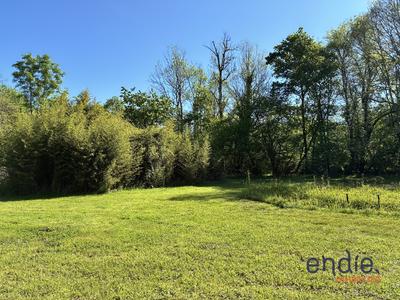 Terrain constructible - 7 195 m²
