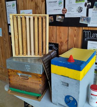 Atelier - Apiculture