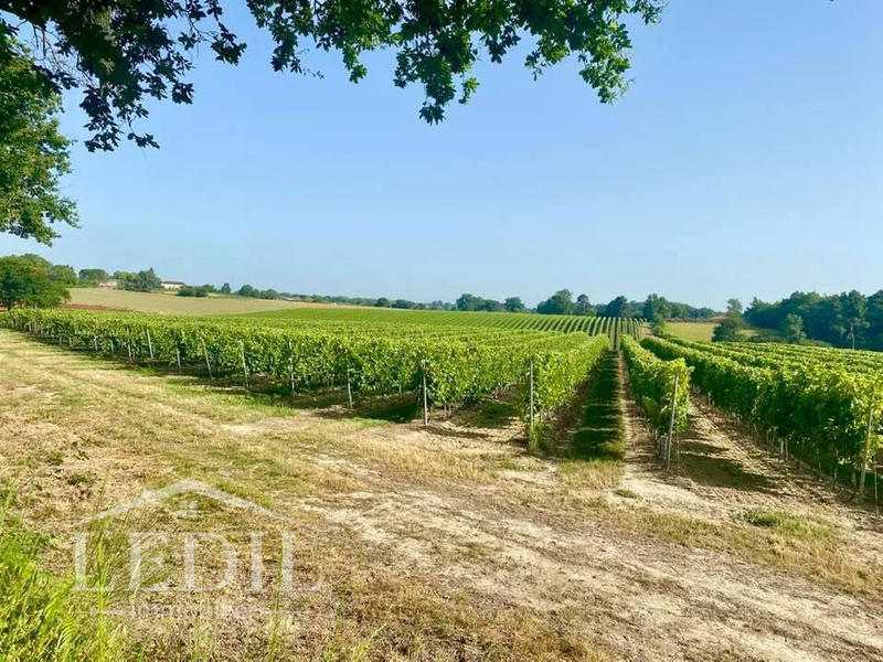 Terrain - 400 000 m²