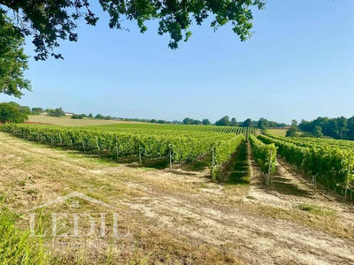 Terrain - 400 000 m²