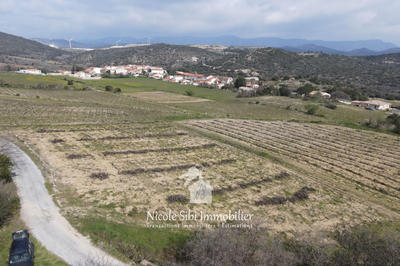 Terrain agricole - 11 155 m²