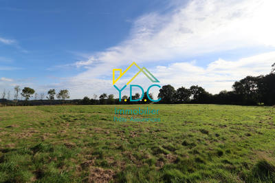 Maison ancienne - 130 m² - 4 pièces