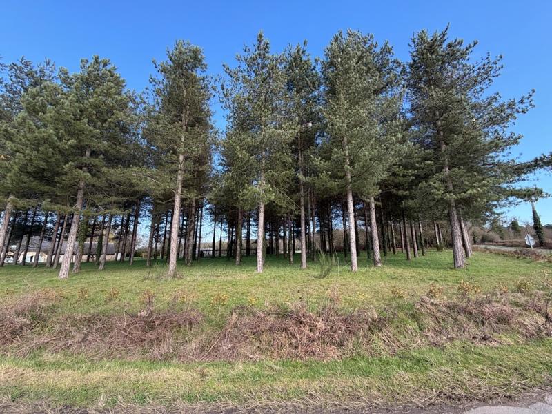 Terrain de loisirs - 3 000 m²