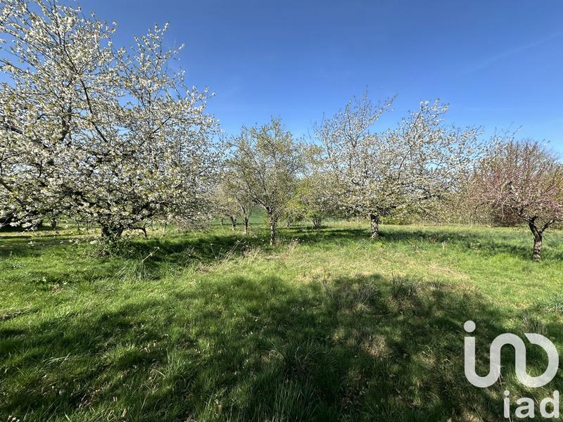 Maison - 210 m² - 8 pièces